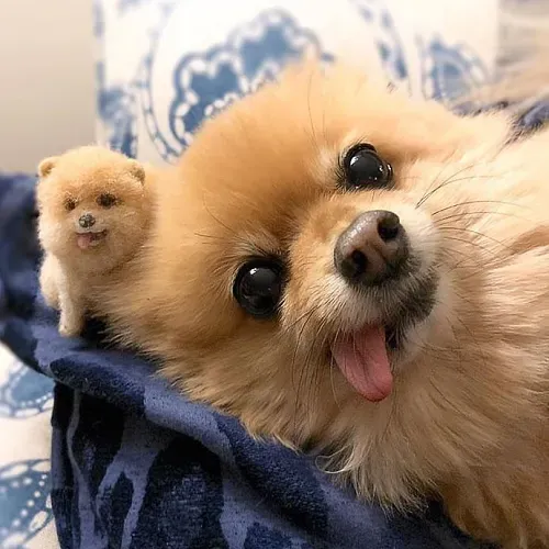 Custom Needle Felted Dog, Dog Sculpture Felted Pet Portrait, Gift for Pet Lovers with Free Exquisite Packaging Box