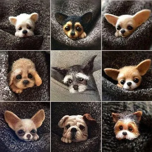 Custom Needle Felted Dog Brooch, Cute Felt Pet Pin, Ideal Gift for Birthdays & Friends