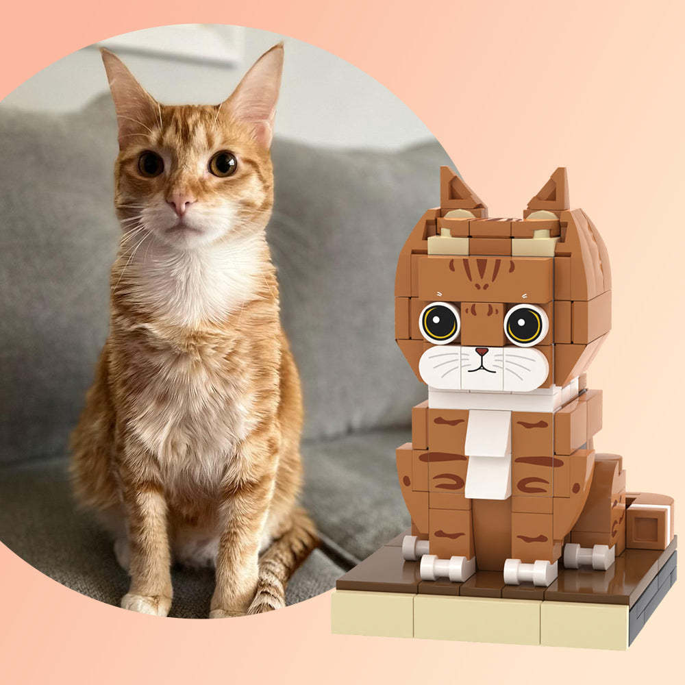 Benutzerdefinierte Orangefarbene Katzenziegelfiguren, Vollständig Anpassbar Am Körper, 1 Katzenfoto, Kleiner Partikelblock, Individuell Angepasst, Nur Katze - MyCustomBrickheadz