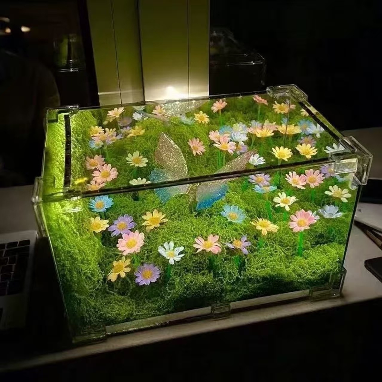 Butterfly Forest Night Light DIY Kit Handmade Ambient Bedroom Lamp, Romantic Gift for Girlfriend