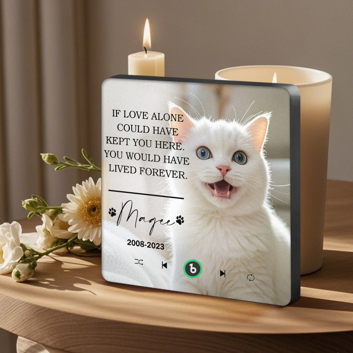 Custom Music Fridge Magnet Personalized Pet Photo & Name Magnet for Fridge That Can Play Songs Memorial Gifts for Pet Lover - Bestchristmasgifts