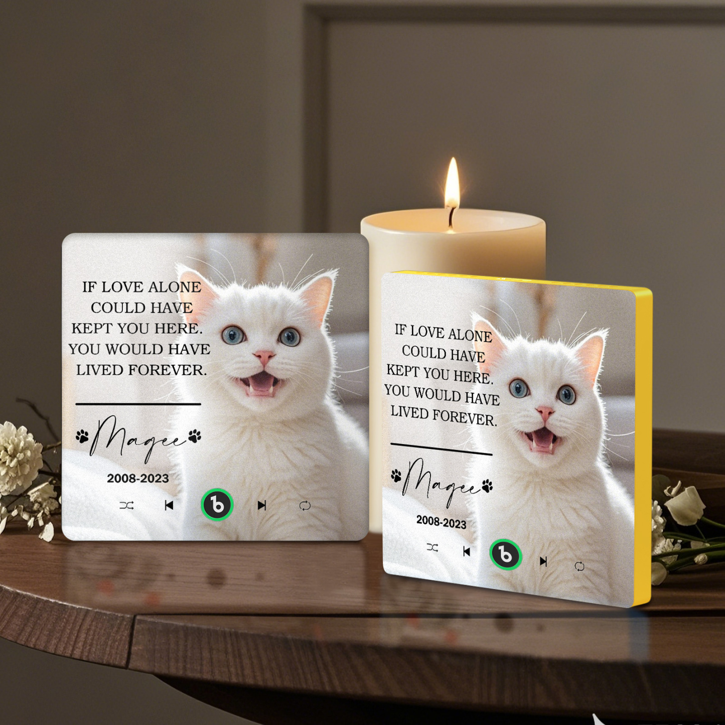 Custom Music Fridge Magnet Personalized Pet Photo & Name Magnet for Fridge That Can Play Songs Memorial Gifts for Pet Lover - Bestchristmasgifts