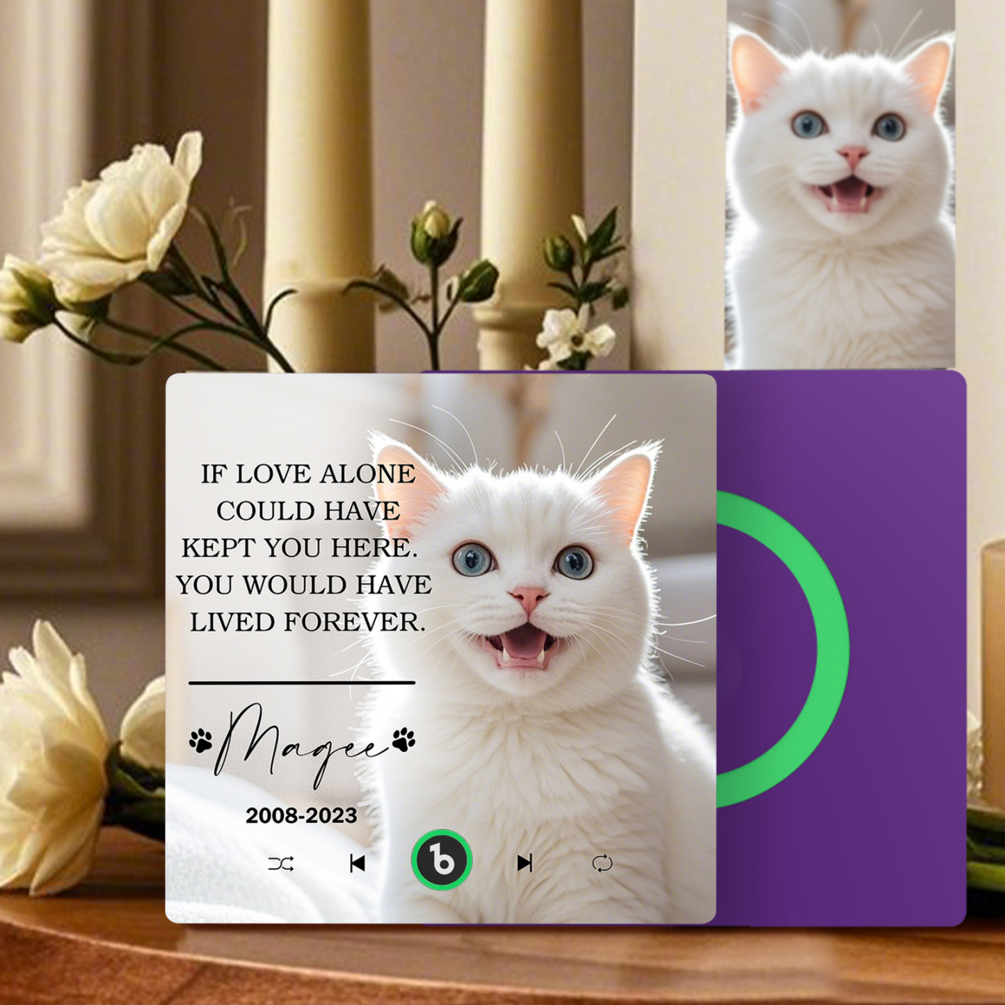 Custom Music Fridge Magnet Personalized Pet Photo & Name Magnet for Fridge That Can Play Songs Memorial Gifts for Pet Lover - Bestchristmasgifts