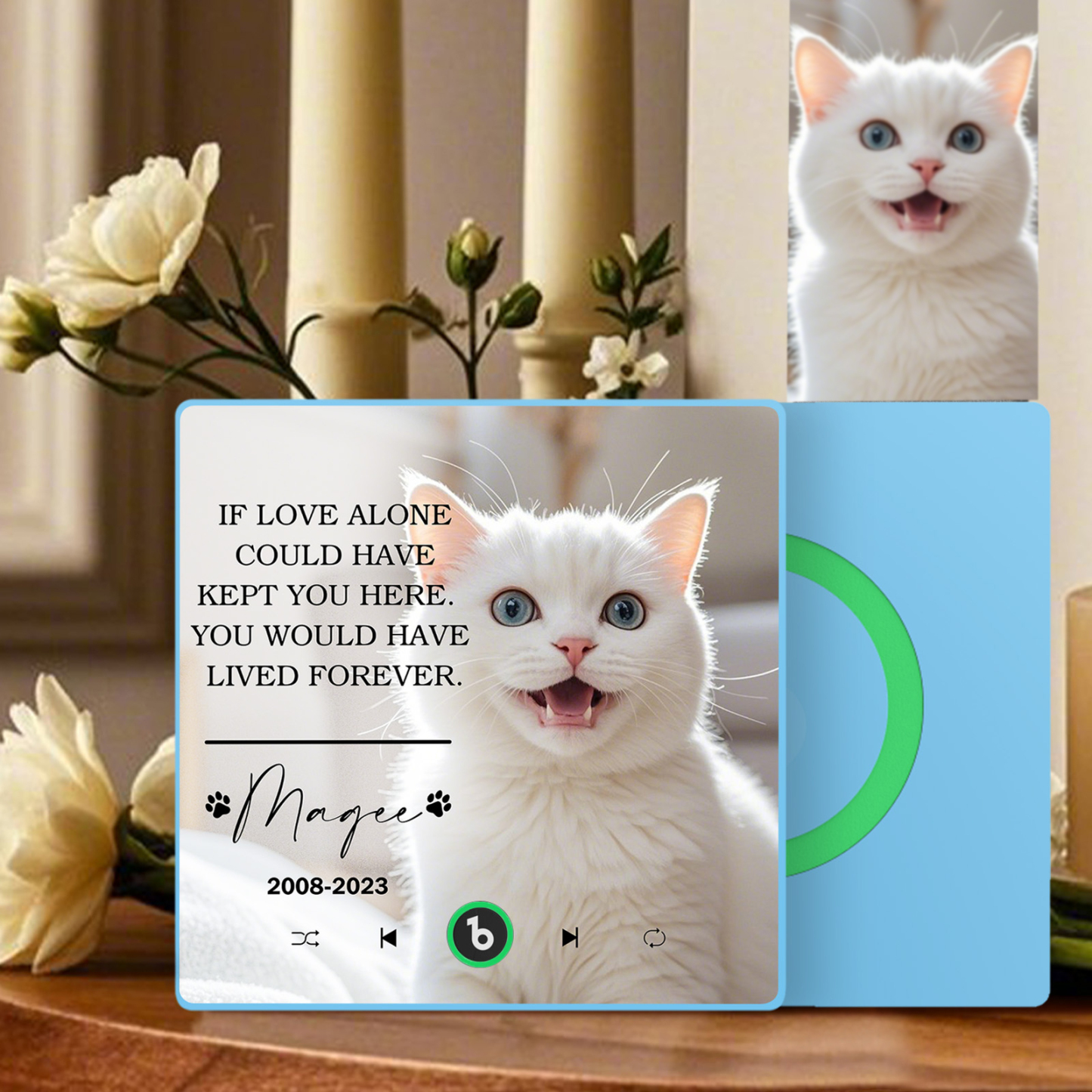 Custom Music Fridge Magnet Personalized Pet Photo & Name Magnet for Fridge That Can Play Songs Memorial Gifts for Pet Lover - Bestchristmasgifts