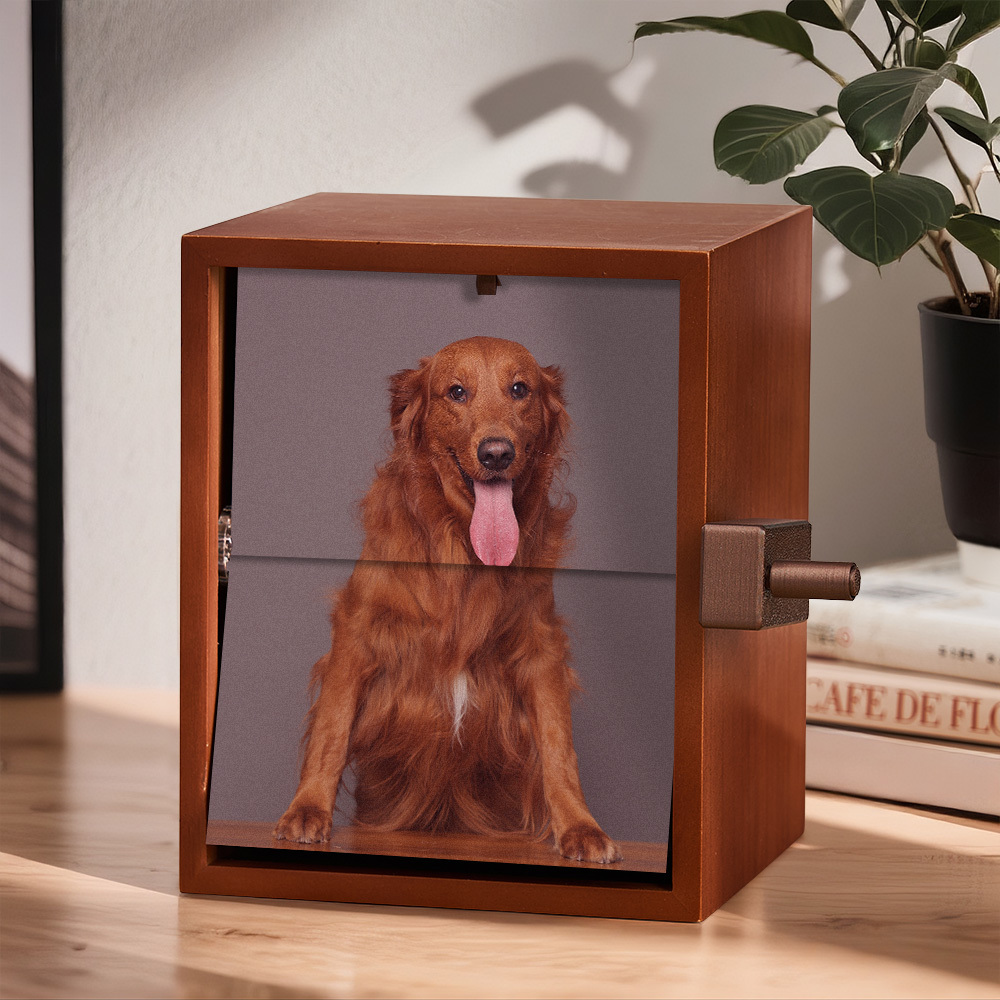Custom Photo Flipbook Frame Vertical 13*16cm Animation Machine Mechanical Hand-cranked Flipbook Box Photo Album with Light Memorial Gift - soufeelus