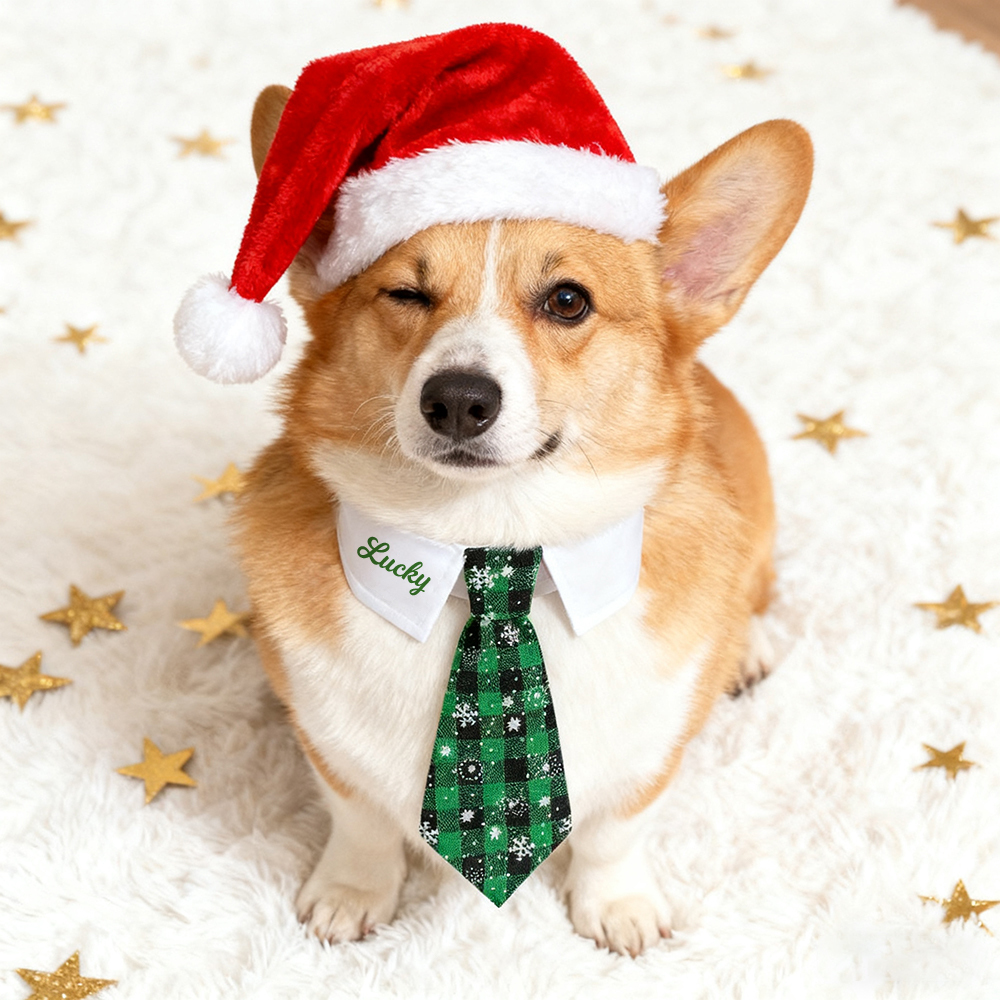 Personalized Name Christmas Pet Tie Gift for Pet Lover