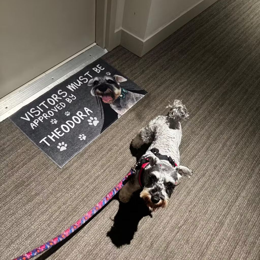 Custom Cartoon Pet Doormat "VISITORS MUST BE APPROVED BY" Pet Doormat Personalized Cartoon Pet Doormat Decoration For Pet Lovers