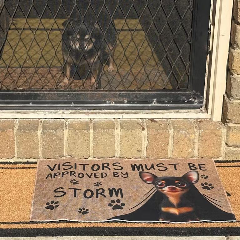 Custom Cartoon Pet Doormat "VISITORS MUST BE APPROVED BY" Pet Doormat Personalized Cartoon Pet Doormat Decoration For Pet Lovers