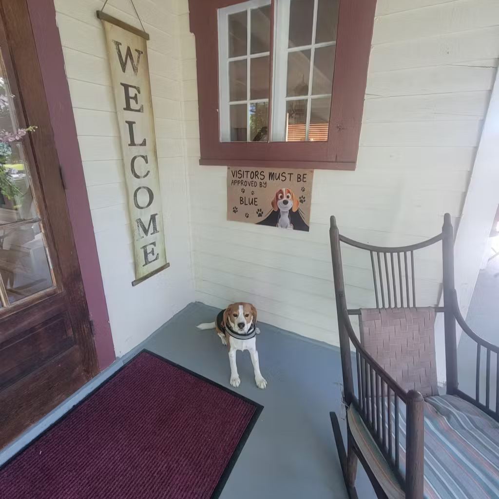 Custom Cartoon Pet Doormat "VISITORS MUST BE APPROVED BY" Pet Doormat Personalized Cartoon Pet Doormat Decoration For Pet Lovers