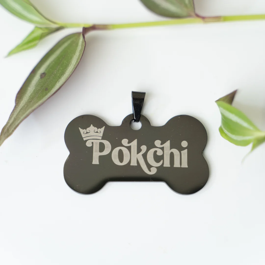 Personalized Stainless Steel Dog Tags – Durable & Stylish