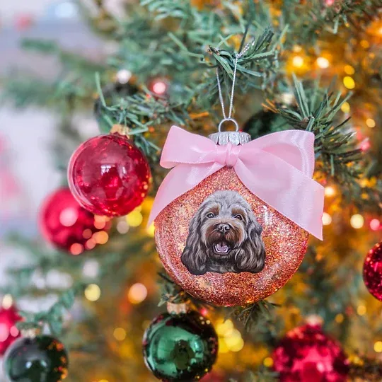 Christmas Gifts Pet Portrait Baubles Ornament