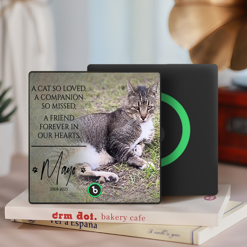 Custom Music Fridge Magnet Personalized Pet Photo & Name Magnet for Fridge That Can Play Songs Memorial Gifts for Pet Lover - Bestchristmasgifts