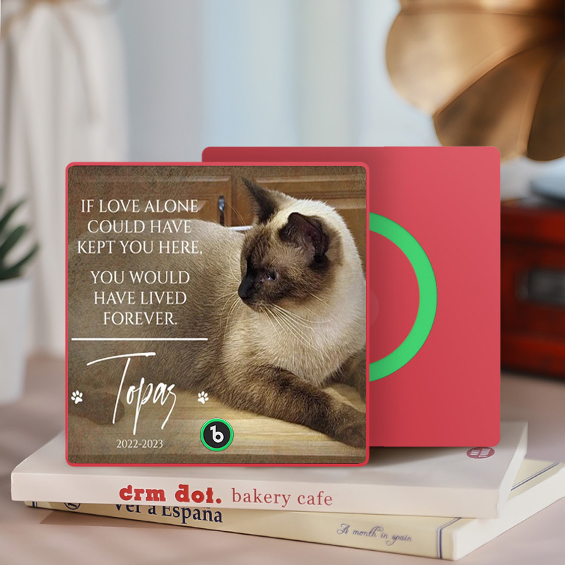 Custom Music Fridge Magnet Personalized Pet Photo & Name Magnet for Fridge That Can Play Songs Memorial Gifts for Pet Lover - MyCustomBrickFigures