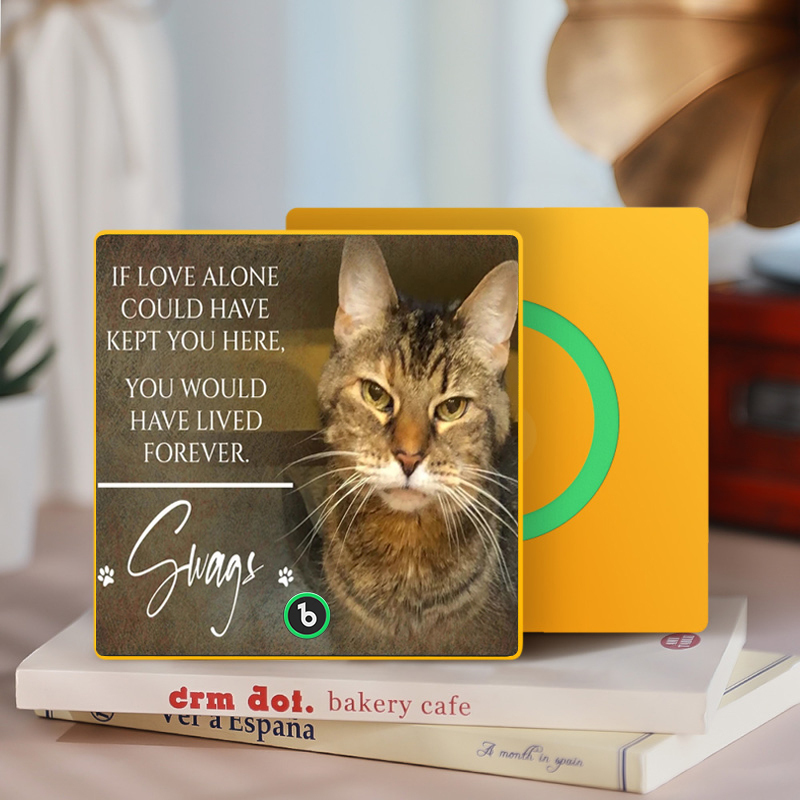 Custom Music Fridge Magnet Personalized Pet Photo & Name Magnet for Fridge That Can Play Songs Memorial Gifts for Pet Lover - MyCustomBrickFigures