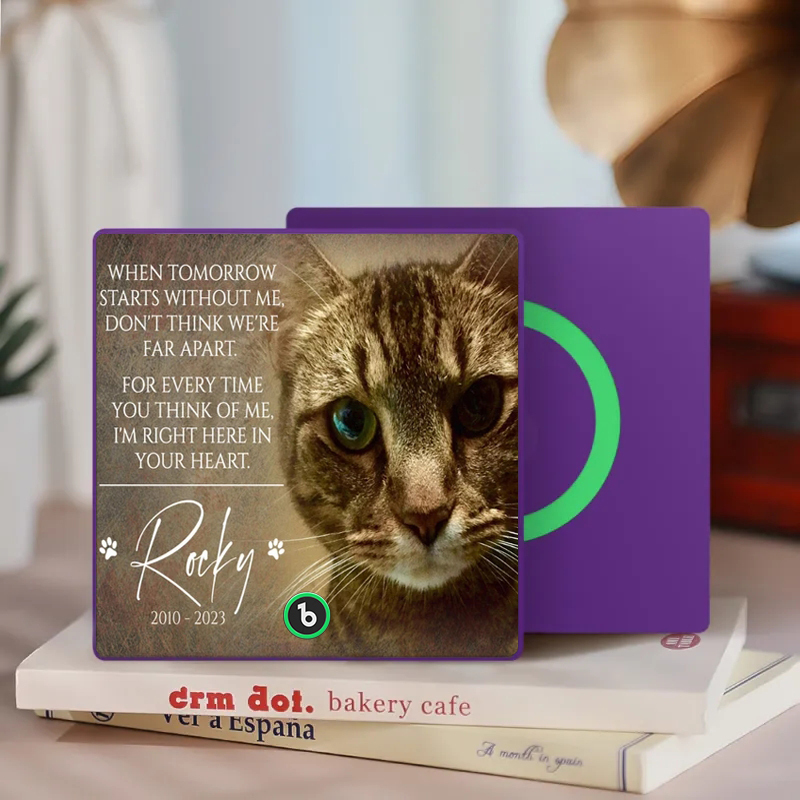 Custom Music Fridge Magnet Personalized Pet Photo & Name Magnet for Fridge That Can Play Songs Memorial Gifts for Pet Lover - MyCustomBrickFigures