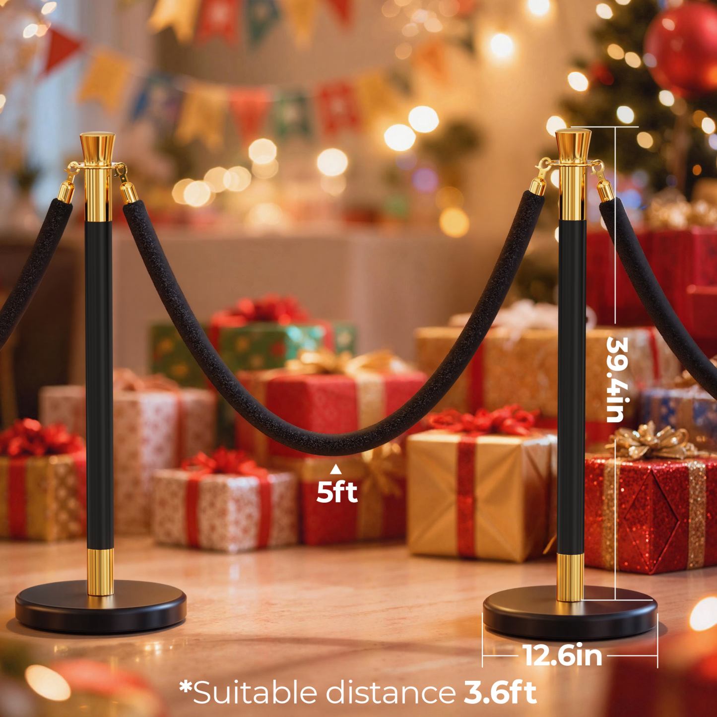 CAMMOO Stanchions and Velvet Ropes, 12pcs Ropes and Stainless Steel Posts