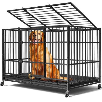 Dog Crates