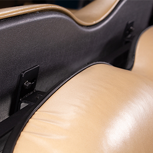 Golf Cart Rear Seat