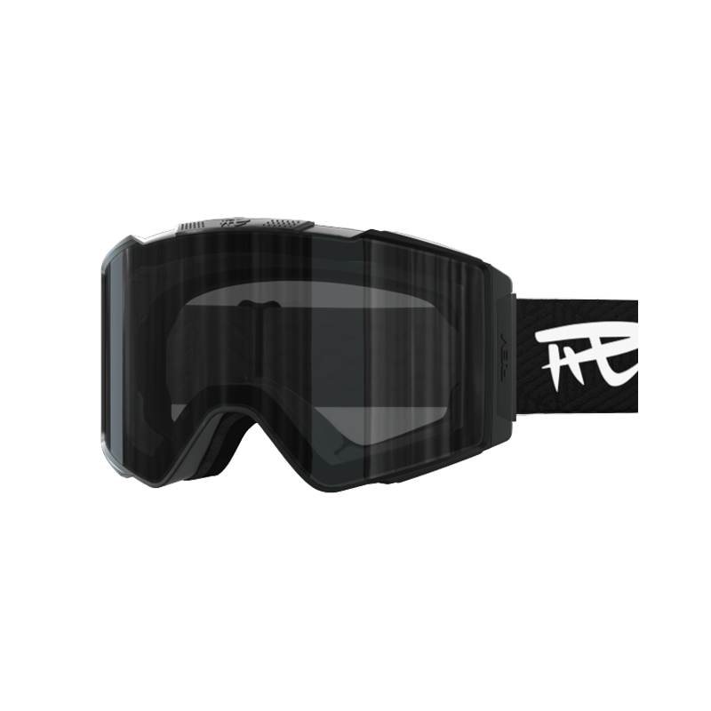 C6 PHOTOCHROMIC SNOW GOOGLES
