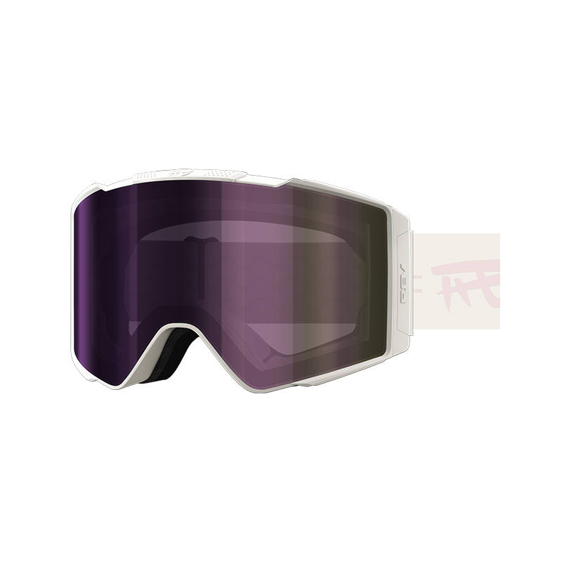 C6 PHOTOCHROMIC SNOW GOOGLES