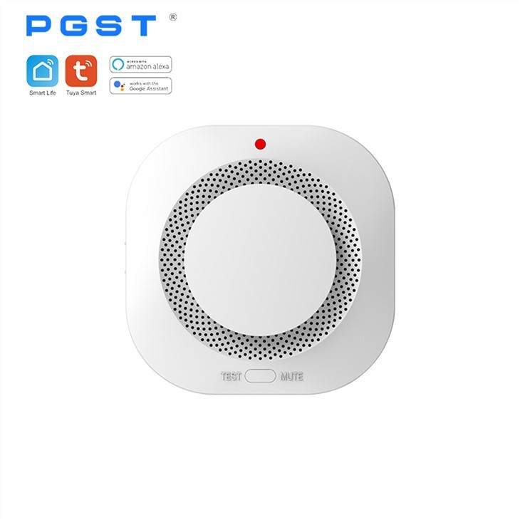 Intelligent Smoke Alarm Detector