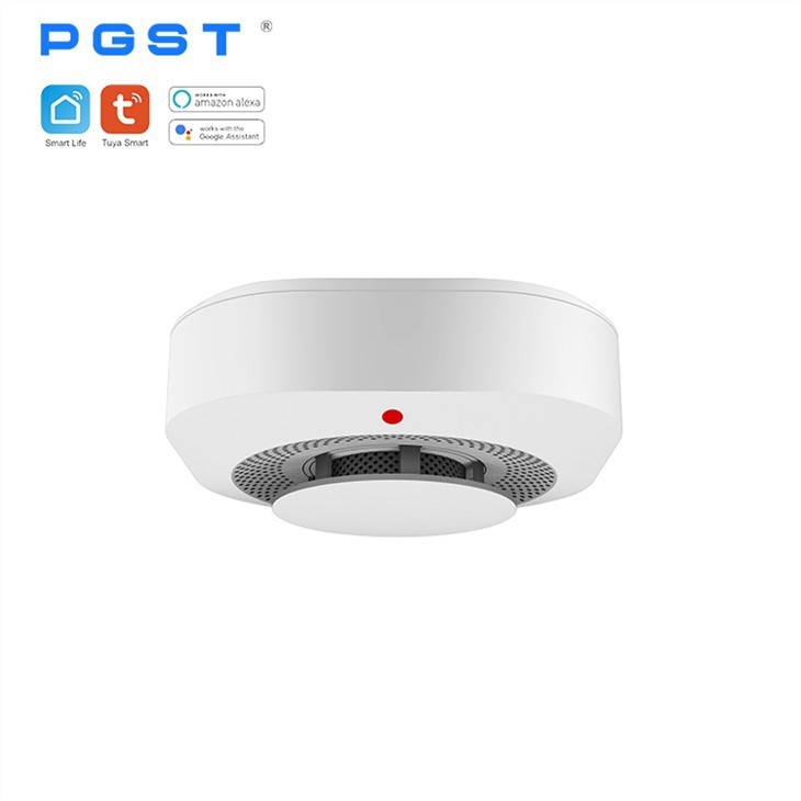 Intelligent Smoke Alarm Detector