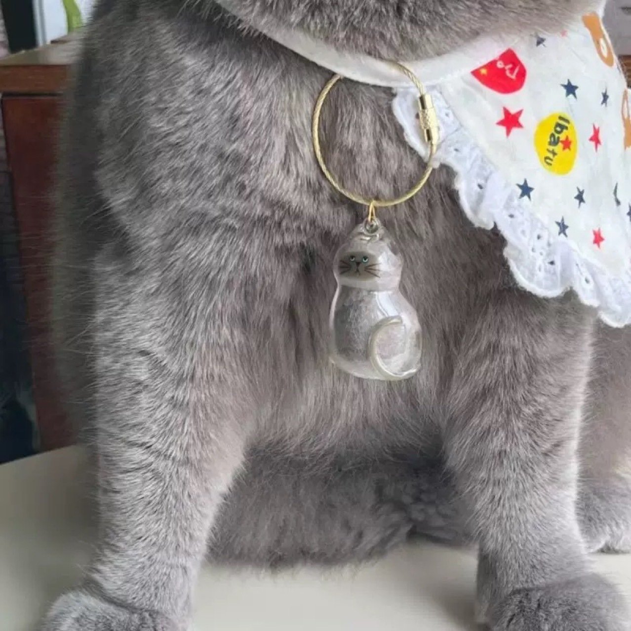 Cat Hair Collector Keychain Charm Memorial Storage Box