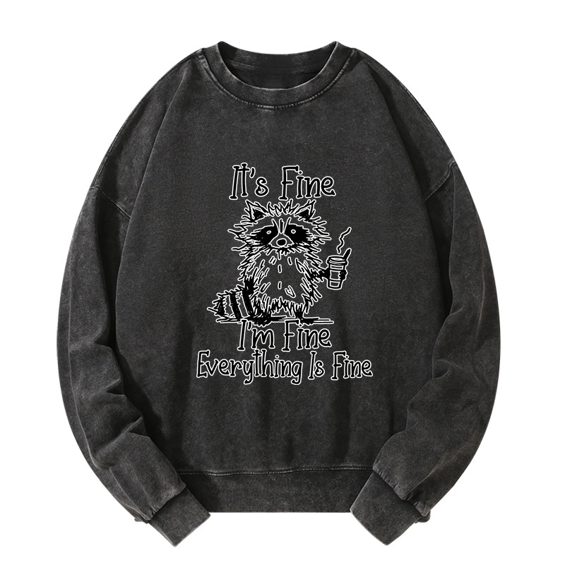 Tokyo-Tiger Raccoon Fine Meme Washed Sweatshirt