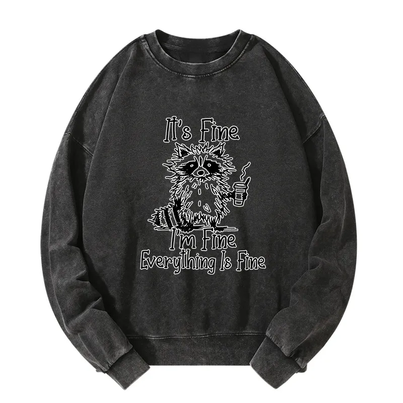 Tokyo-Tiger Raccoon Fine Meme Washed Sweatshirt