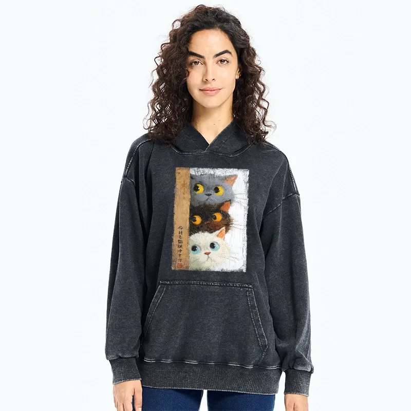 Tokyo-Tiger Three Cute Cats Watch You Washed Hoodie