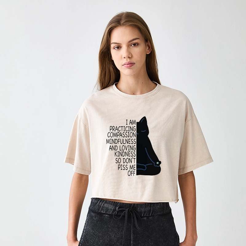 Tokyo-Tiger Calm Black Cat With Anger Issues Women's Washed Crop T-Shirt