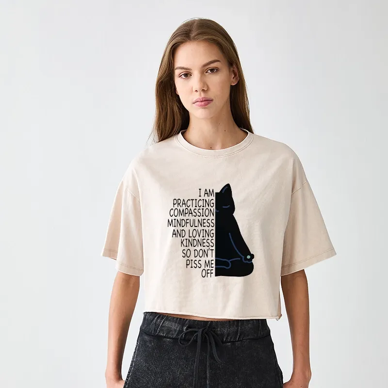 Tokyo-Tiger Calm Black Cat With Anger Issues Women's Washed Crop T-Shirt