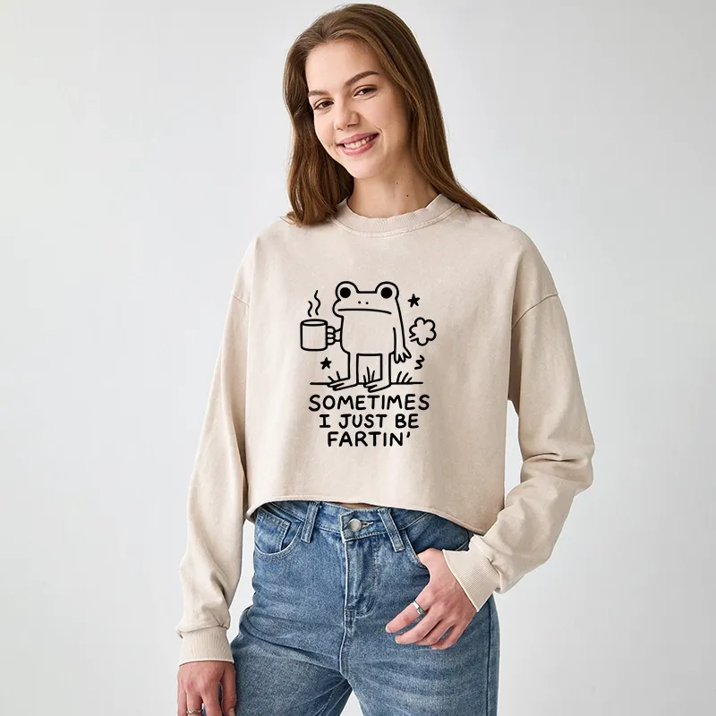 Tokyo-Tiger Sometimes A Frog Just Needs To Fart Washed Crop Sweatshirt