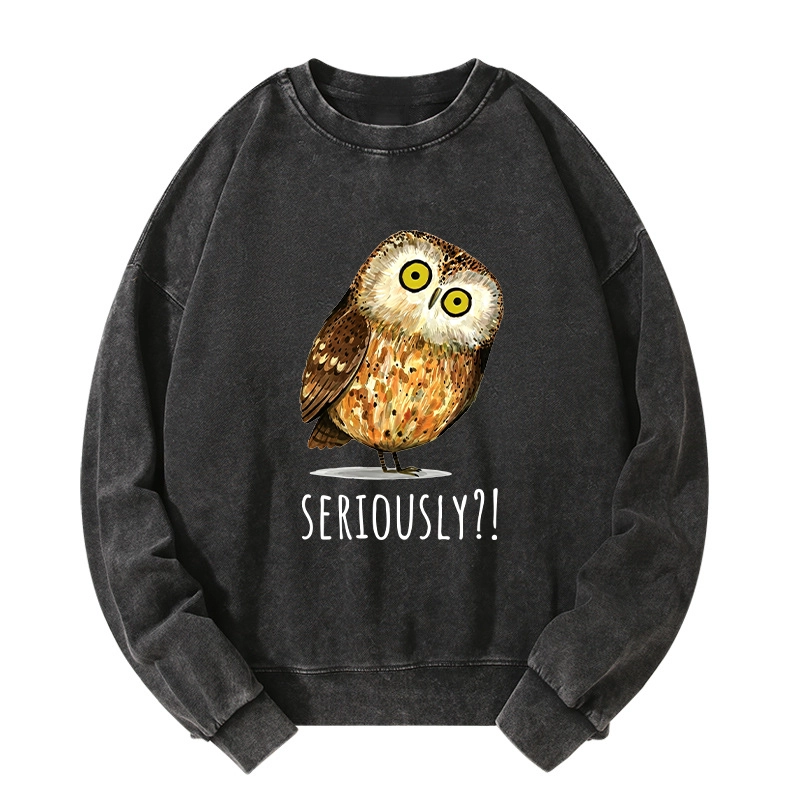 Tokyo-Tiger Seriously Confused Owl Meme Art Washed Sweatshirt