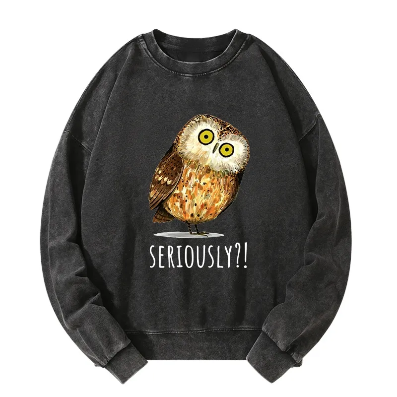 Tokyo-Tiger Seriously Confused Owl Meme Art Washed Sweatshirt