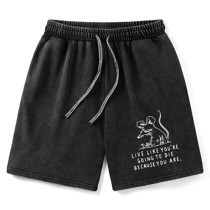 Tokyo-Tiger Funny Meme Sarcastic Rat Life Truth Washed Shorts