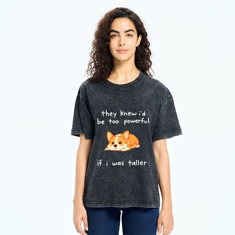 Tokyo-Tiger Funny Short Dog Joke Washed T-Shirt