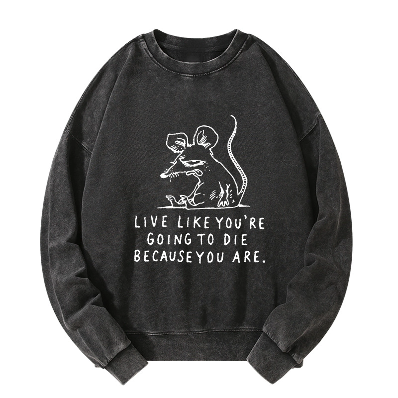 Tokyo-Tiger Funny Meme Sarcastic Rat Life Truth Washed Sweatshirt