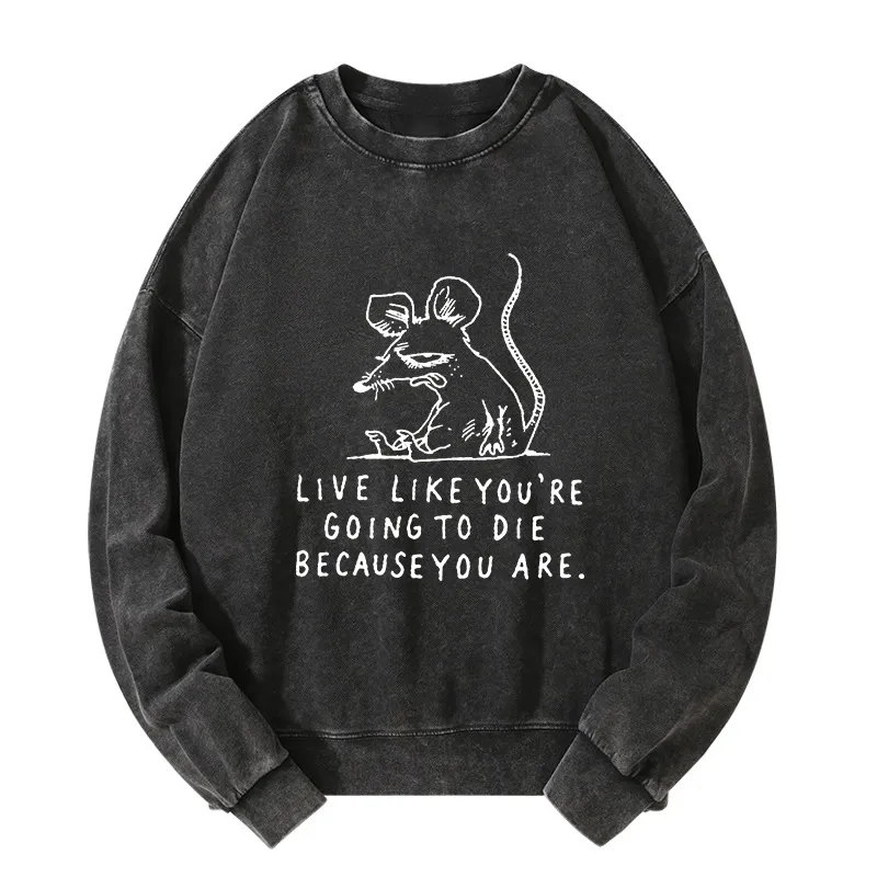 Tokyo-Tiger Funny Meme Sarcastic Rat Life Truth Washed Sweatshirt