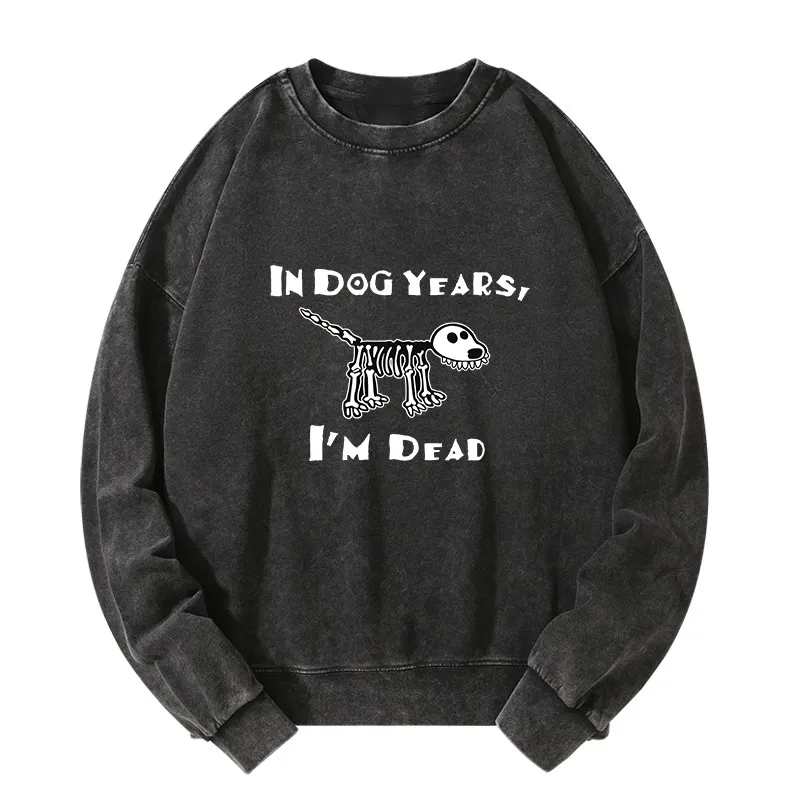 Tokyo-Tiger Funny Meme Old Dog Dead In Dog Years Vibe Washed Sweatshirt