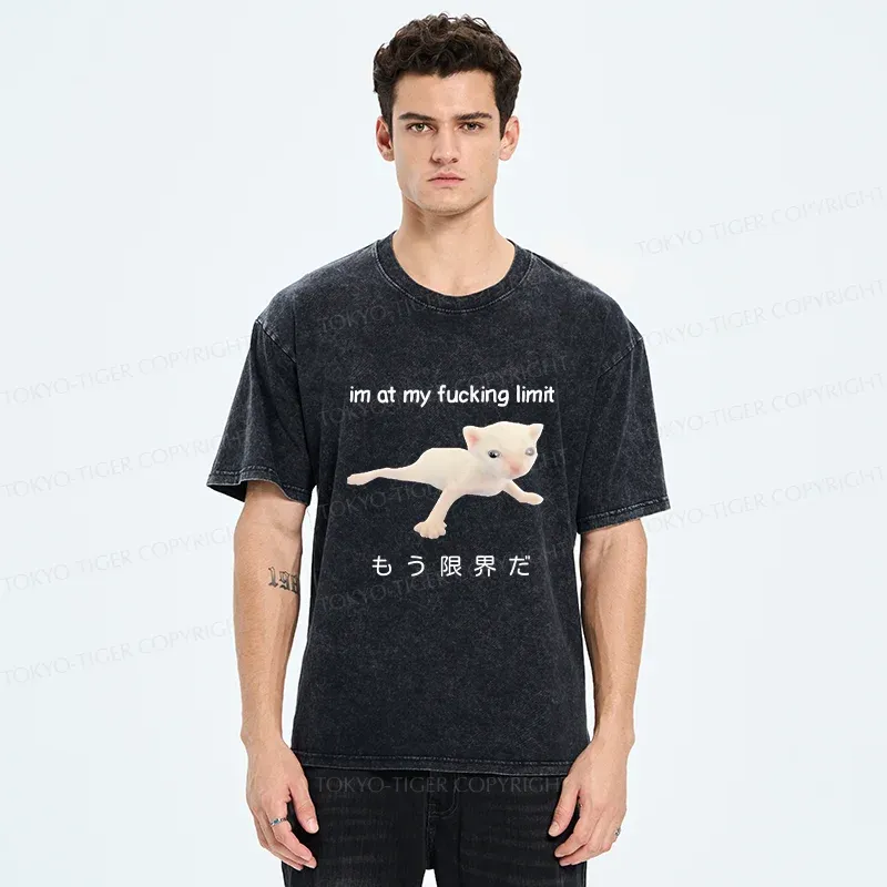Tokyo-Tiger Cat Reaching Its Limit Washed T-Shirt