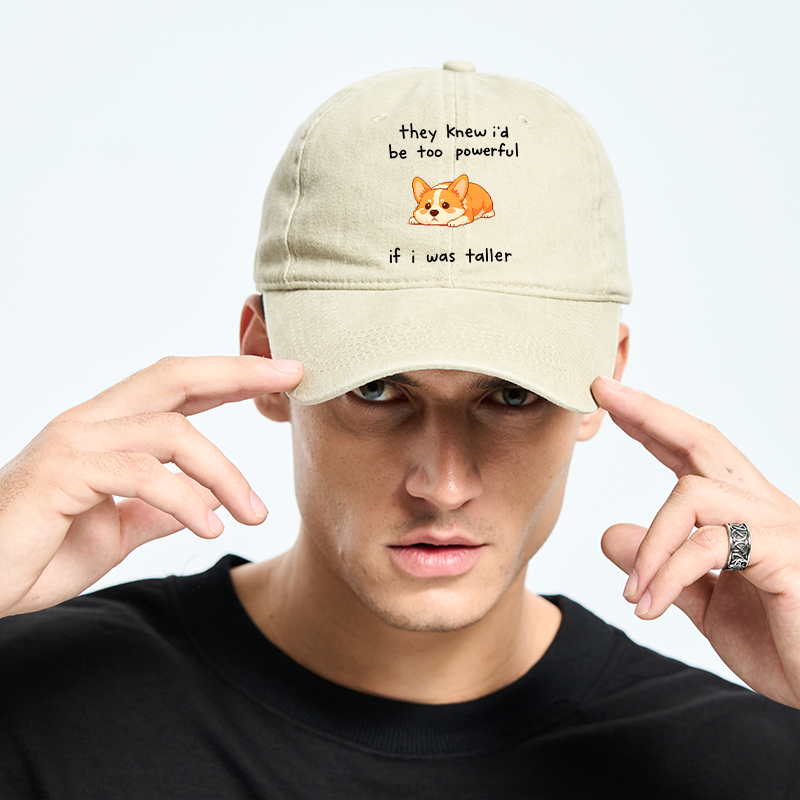 Tokyo-Tiger Funny Short Dog Joke Washed Cap