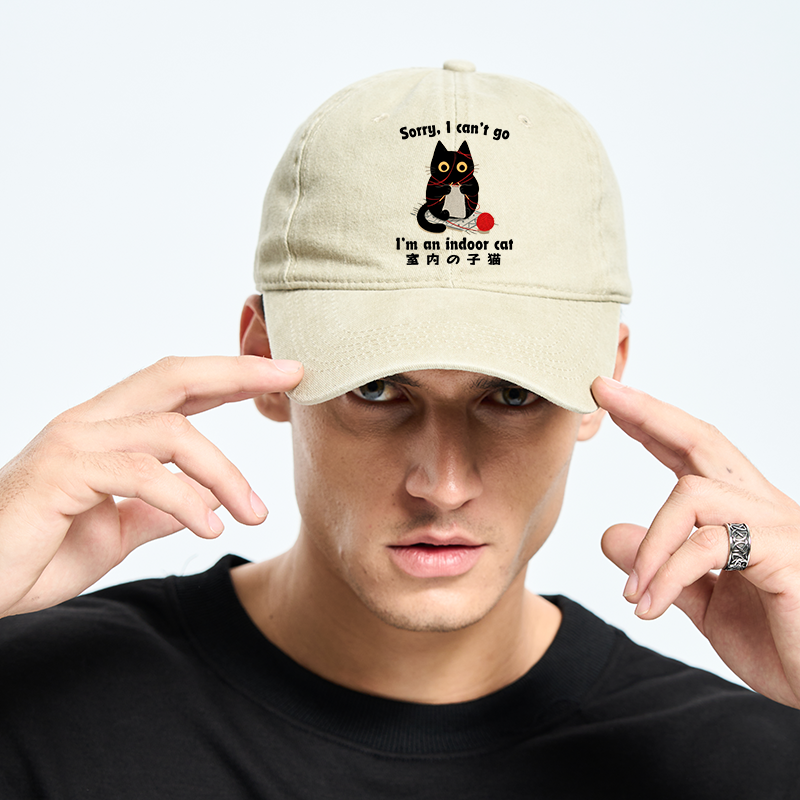 Tokyo-Tiger Indoor Cat Meme Washed Cap