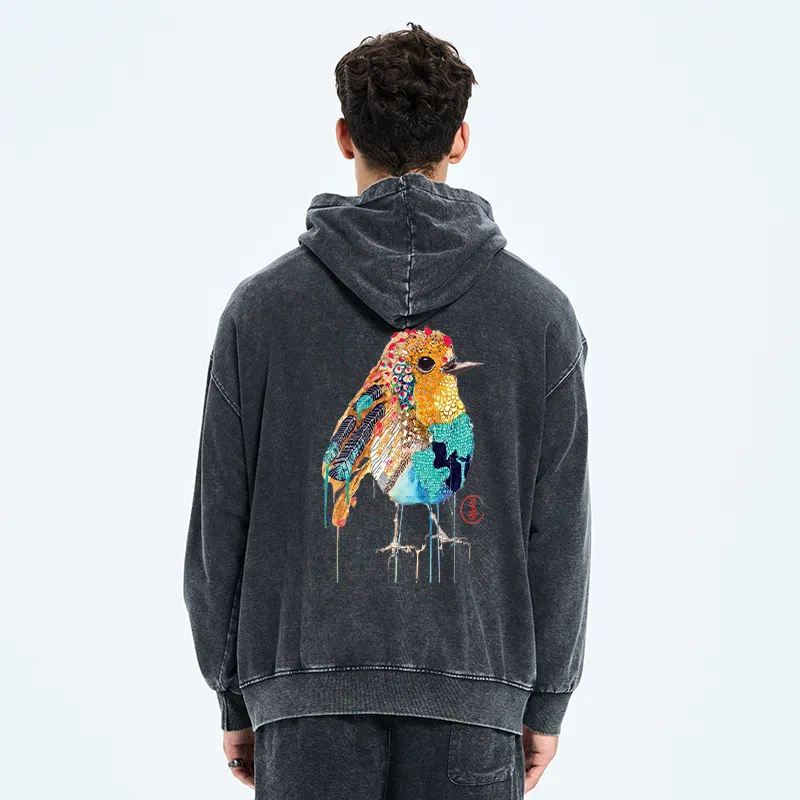 Tokyo-Tiger Sparkly Wild Bird Washed Zip Hoodie
