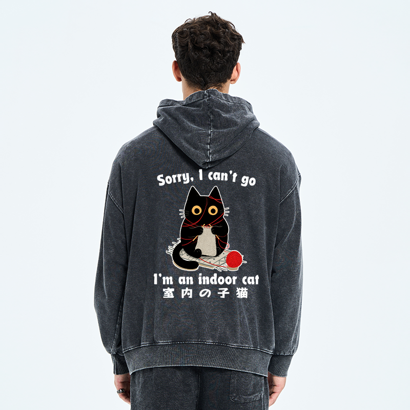Tokyo-Tiger Indoor Cat Meme Washed Zip Hoodie