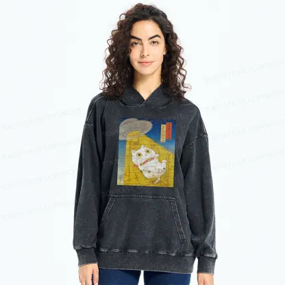 Tokyo-Tiger Funny Meow-FO Kidnapping Cat Washed Hoodie