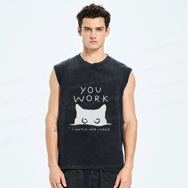 Tokyo-Tiger A Cat That Spies Washed Tank