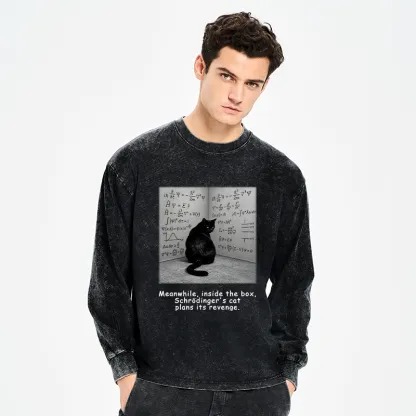 Tokyo-Tiger Box Black Cat Science Meme Washed Long Sleeve T-Shirt