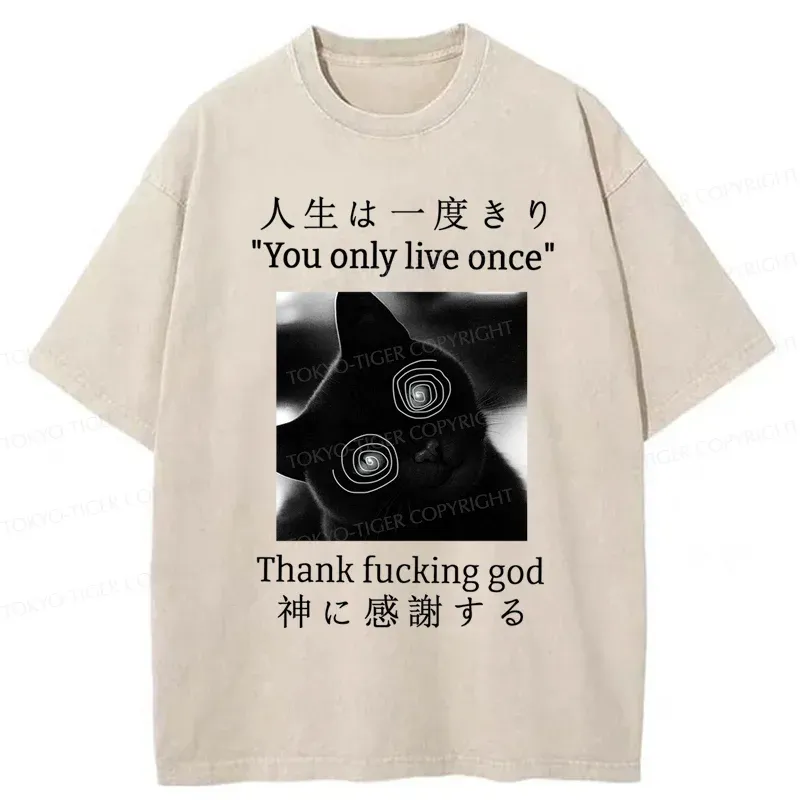 Tokyo-Tiger Dizzy Cat Japan Washed T-Shirt