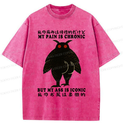 Tokyo-Tiger Monster Mothman Funny Washed T-Shirt
